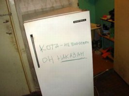 Вот это я понимаю - правильное воспитание!