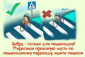 Сколько раз говорить велосипед нужно на ПП катить