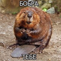 Добро спасёт всех нас