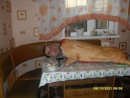 походу гость из будущего