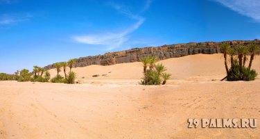 Был в пустыне. Мы через всю страну на автобусе ехали. Сначала прилетели в Касабланку, на самолете в Агадир, а обратно на автобусе, поэтому все проехали.

Пустыня Сахара там просто офигенная!