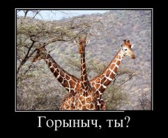 Фотографии, в реальность которых сложно поверить