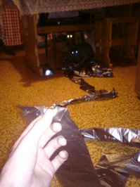 Вот мой гадёныш =)))))