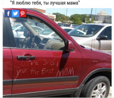 Фотоподборка за 05.11.2015