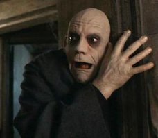 спокойной ночи