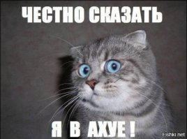 Почему же она не едет?
