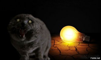 Коту надоели упоительные истории.