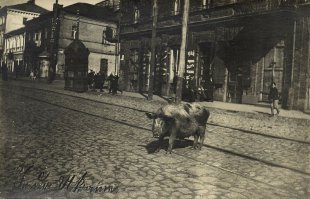 Сравните Житомир 1918 года и 2015 года. Ура, ЗДОБУЛИ!!!