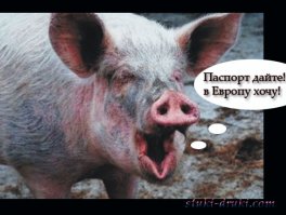 Сравните Житомир 1918 года и 2015 года. Ура, ЗДОБУЛИ!!!