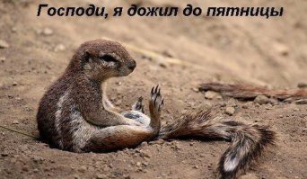Это сегодня я
