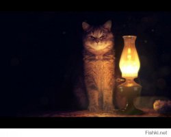 На, держи. Того котейку нельзя заменять