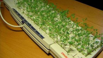 а что-ж клаву то не сфоткал?