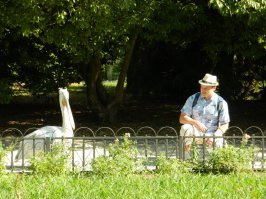 Дендрарий в Сочи. Чуть ближе и начинает клюв открывать, и чего-то как-то страшно.