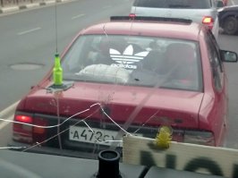 Три полоски Adidas