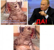 Да что ты знаешь о безнадёге?