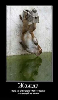 Утро субботы: имидж - ничто! Жажда - всё!