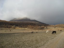 Невероятные фотографии без фотошопа