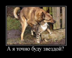 А если коте с колючками,то что получиться?