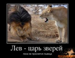 20 леденящих душу картин того, что природа может преподнести неприятный сюрприз