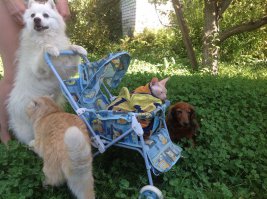 Мои дружные ребятки)))