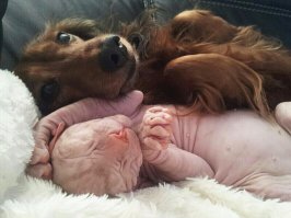 Мои дружные ребятки)))