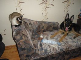 а это мой твикс)))