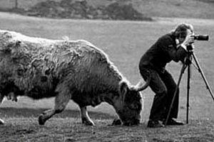 10 веселых открыток из серии "Как достать фотографа"