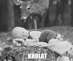 Фотоподборка за 05.11.2015