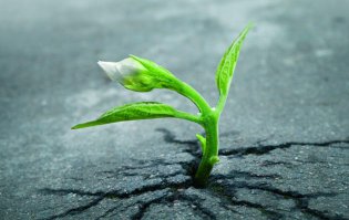 Природа против цивилизации