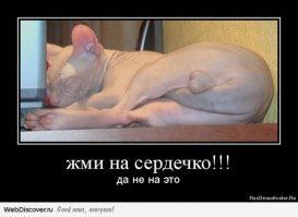 Яйца сердечком и лепестками. Это стоит попробовать сделать в домашних условиях