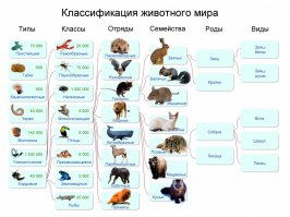 Скорпион не насекомое.
