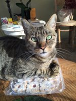 ну самое удобное место!