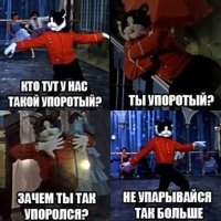 Хозяин решил покормить кошек в маске кошки