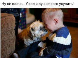 Решили поплакать вместе