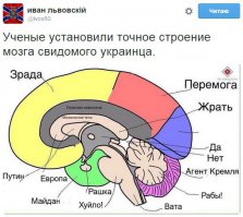 Солянка для Майдана. Часть 124