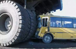 Прикольные картинки и демотиваторы