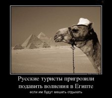 Прикольные картинки и демотиваторы