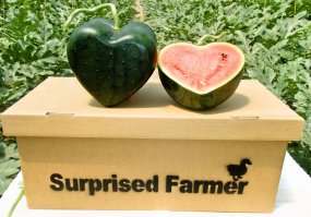 Яйца сердечком и лепестками. Это стоит попробовать сделать в домашних условиях