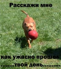 10 рекордов, которые никому не захотелось бы побить