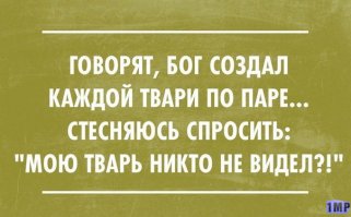 15 серьезно-юмористических жизненных принципов, которые работают
