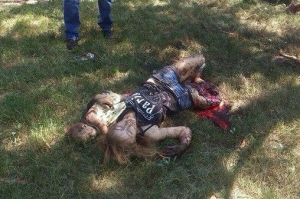 Бандеровец пострелял