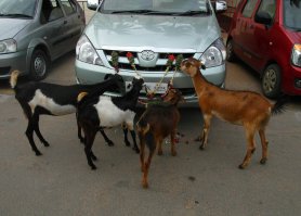 Из личного архива: