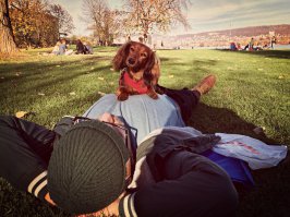 Доминируй, властвуй, унижай...