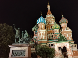 Мне очень нравится у honor 7 камера 20 мегапикселей. Она на мой взгляд вообще одна из лучших. Такое впечатление, что  шумы убираются  лишь слегка, очень много деталей на фотографии. На основной вспышка отличная, ночные фотки четкие, но зато на передней камере есть автофокус и можно снимать отличное видео. Понравилась начинка, насколько я поняла, собственная разработка компании.