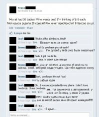 К пермячке в окно дома ломились крысы