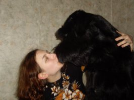 помесь ризена с черным терьером. Для сравнения - мой рост 175. 70 кило отборной собачатинки)