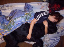 помесь ризена с черным терьером. Для сравнения - мой рост 175. 70 кило отборной собачатинки)