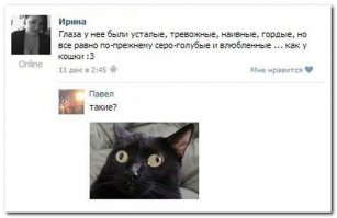 Смешные комментарии из социальных сетей