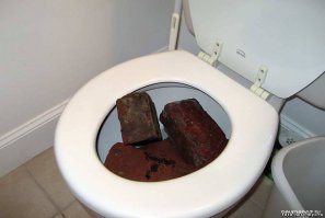 Хозяин решил покормить кошек в маске кошки