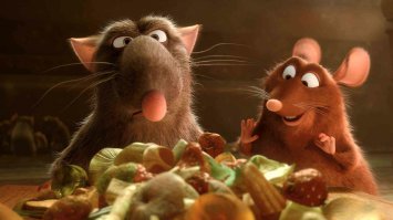 К пермячке в окно дома ломились крысы